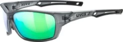 Uvex Sportstyle 232 P - Sports Glasses Cycling Glasses | Bike-Discount